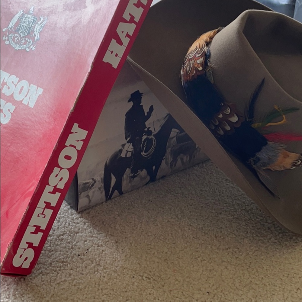 Stetson Beaver Felt Hat 4X